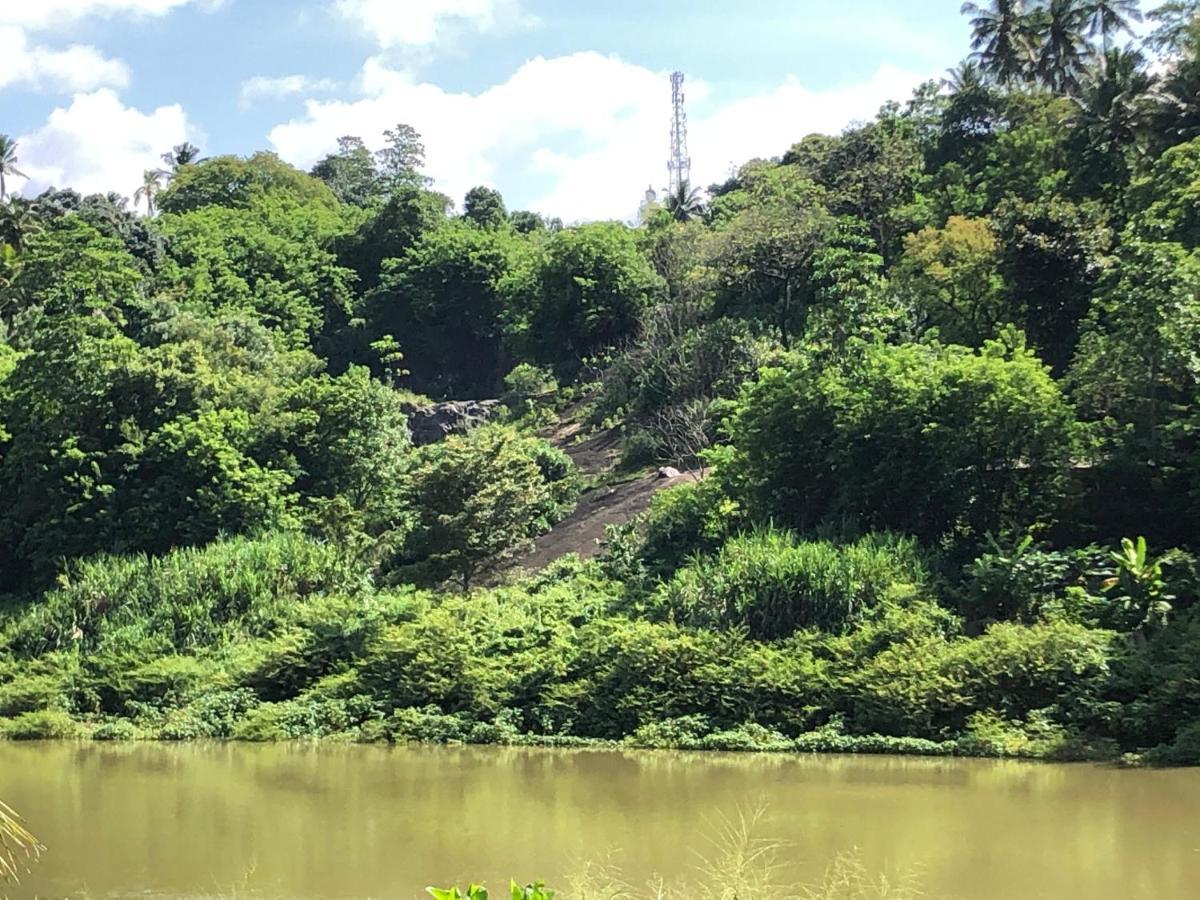 Kandy Rivers Edge Nature Resort מראה חיצוני תמונה