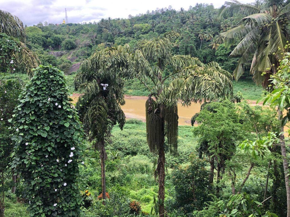 Kandy Rivers Edge Nature Resort מראה חיצוני תמונה