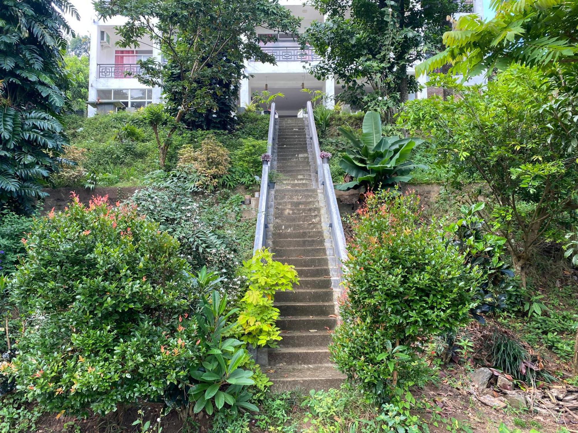 Kandy Rivers Edge Nature Resort מראה חיצוני תמונה