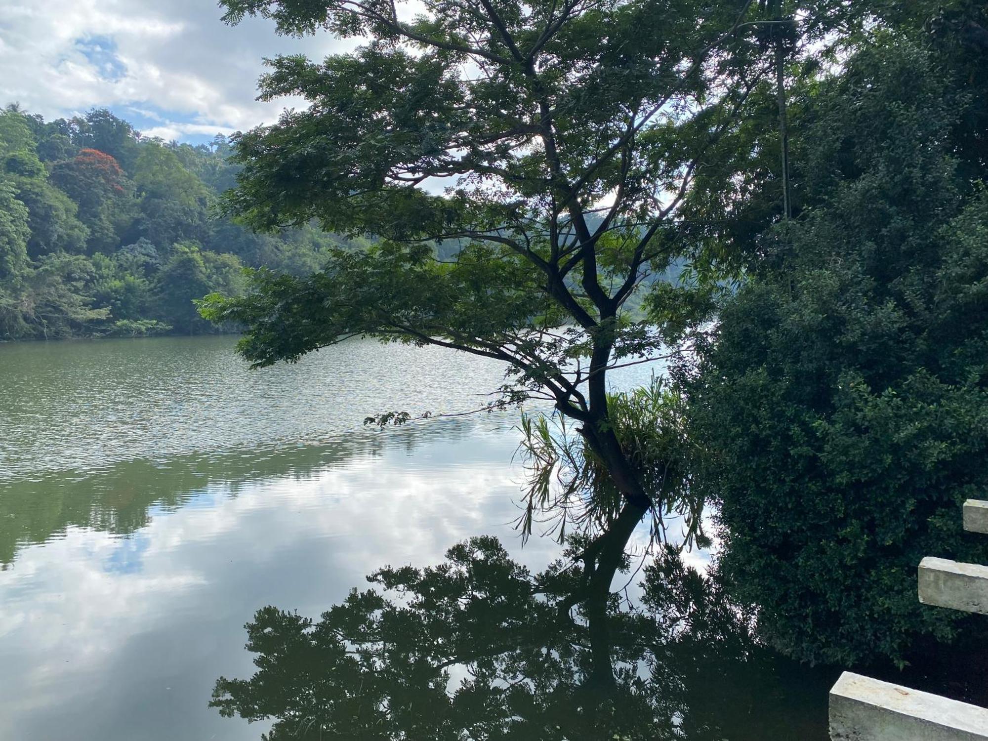 Kandy Rivers Edge Nature Resort מראה חיצוני תמונה