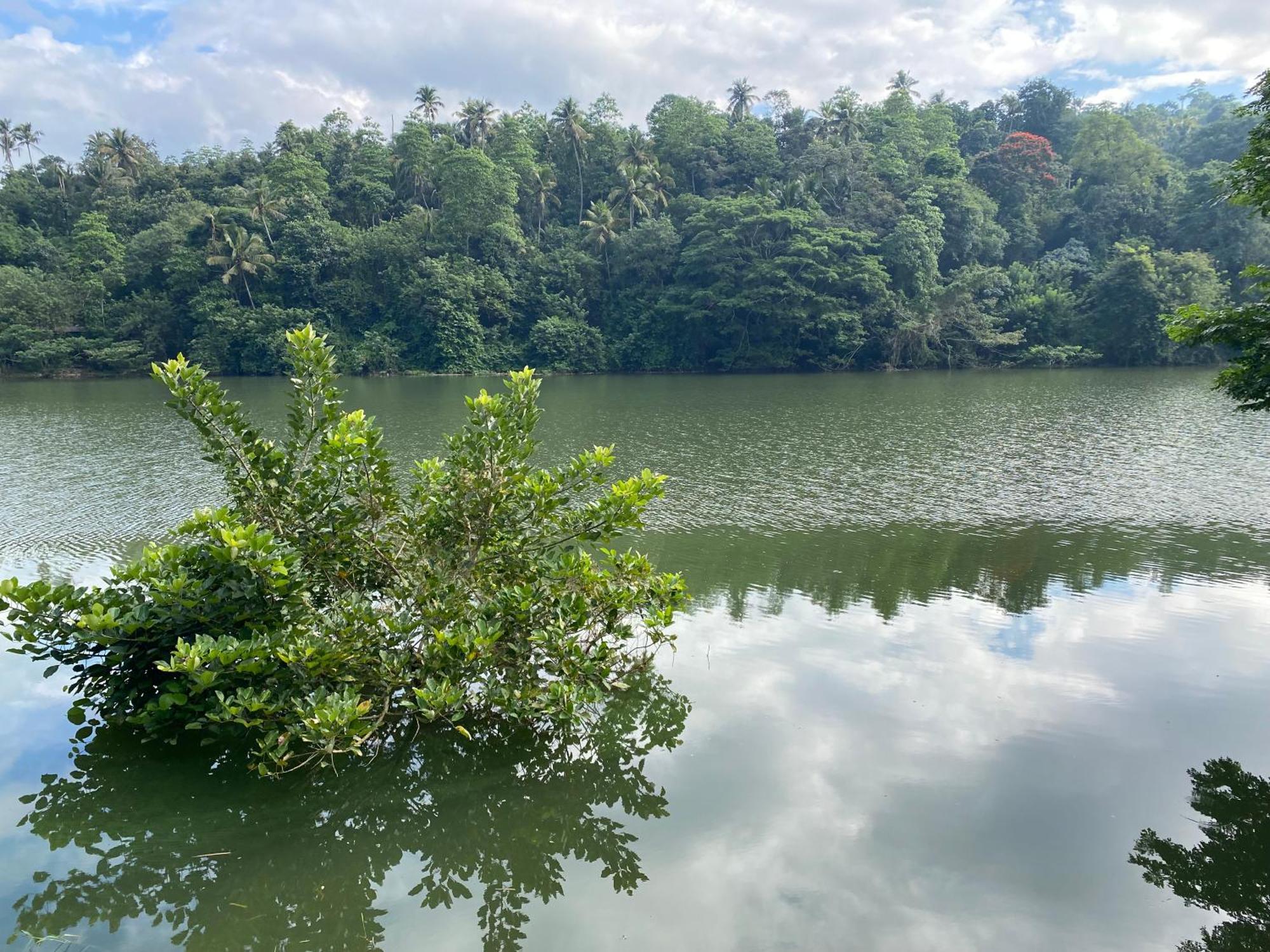 Kandy Rivers Edge Nature Resort מראה חיצוני תמונה