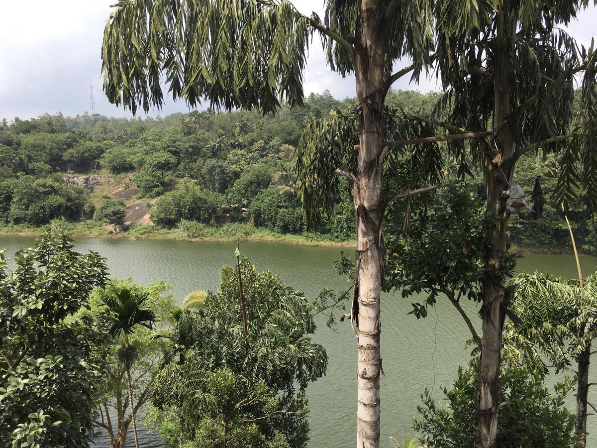 Kandy Rivers Edge Nature Resort מראה חיצוני תמונה